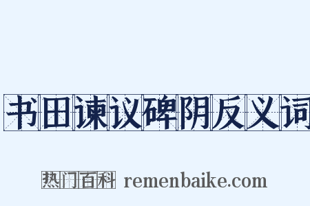 书田谏议碑阴反义词是什么意思的图片